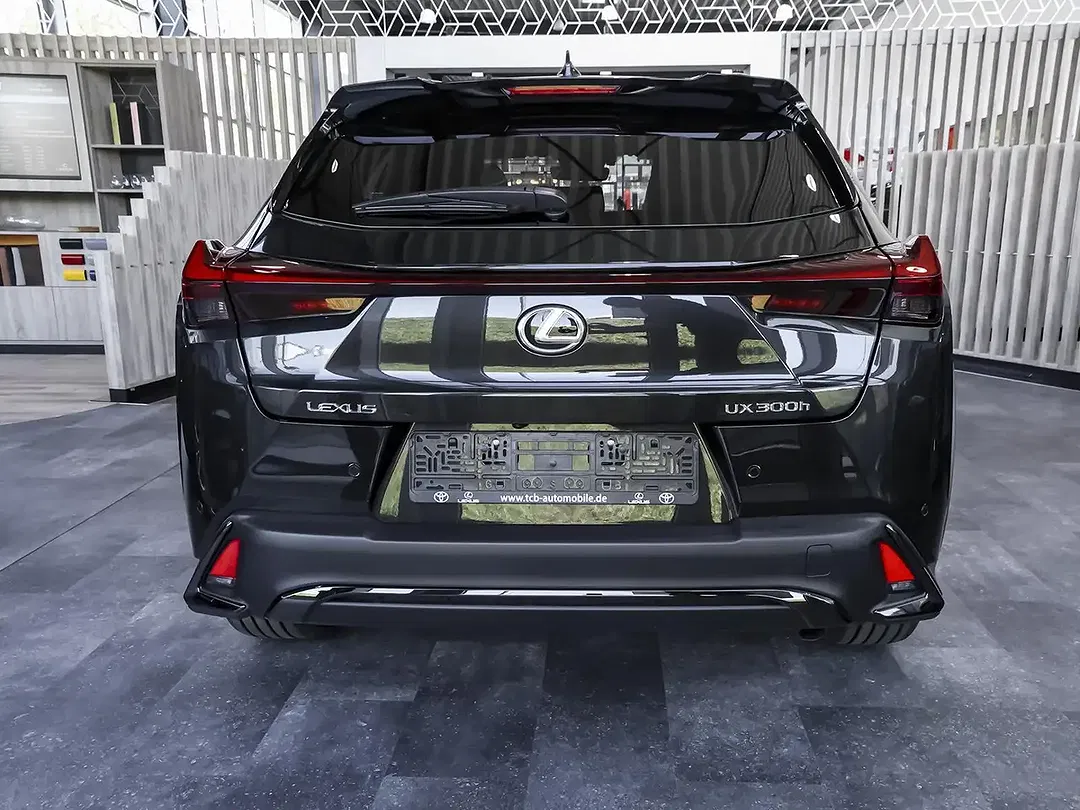 Lexus UX 250h 300h F SPORT Design - Thumbnail 4