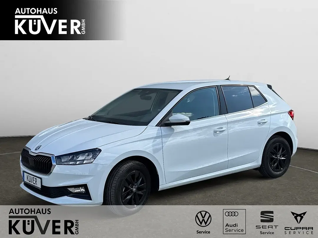 Skoda Fabia 1.0 TSI DSG Selection - Afbeelding 1