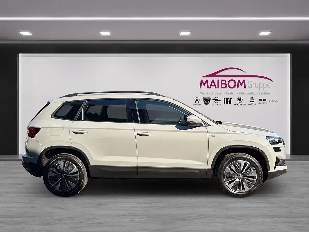Skoda Karoq Tour - Thumbnail 4