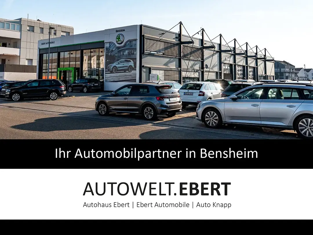 Skoda Enyaq 85 Sportline - Thumbnail 11