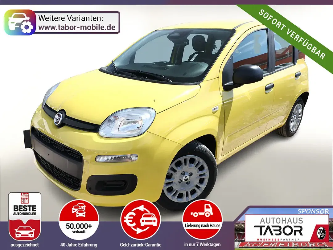 Fiat Panda Icon - foto 1