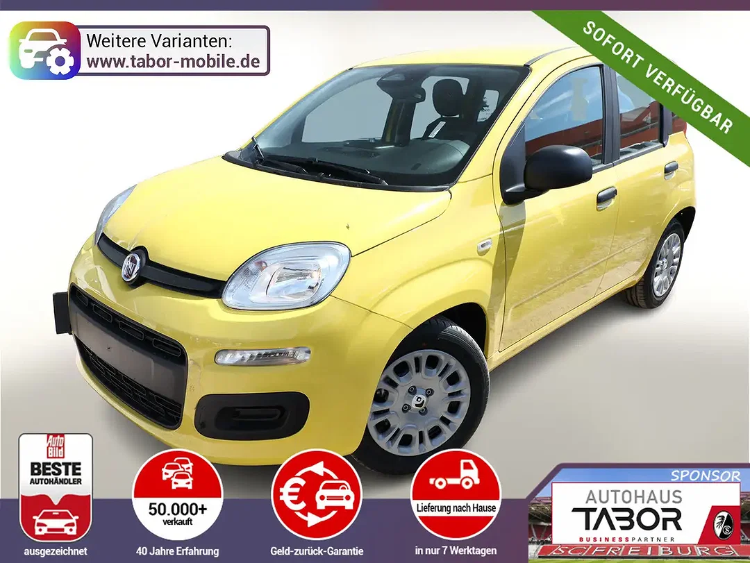 Fiat Panda Icon - Afbeelding 1