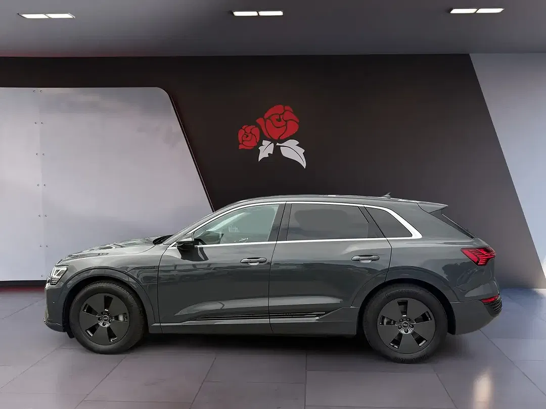 Audi Q8 e-tron 55 quattro - foto 2