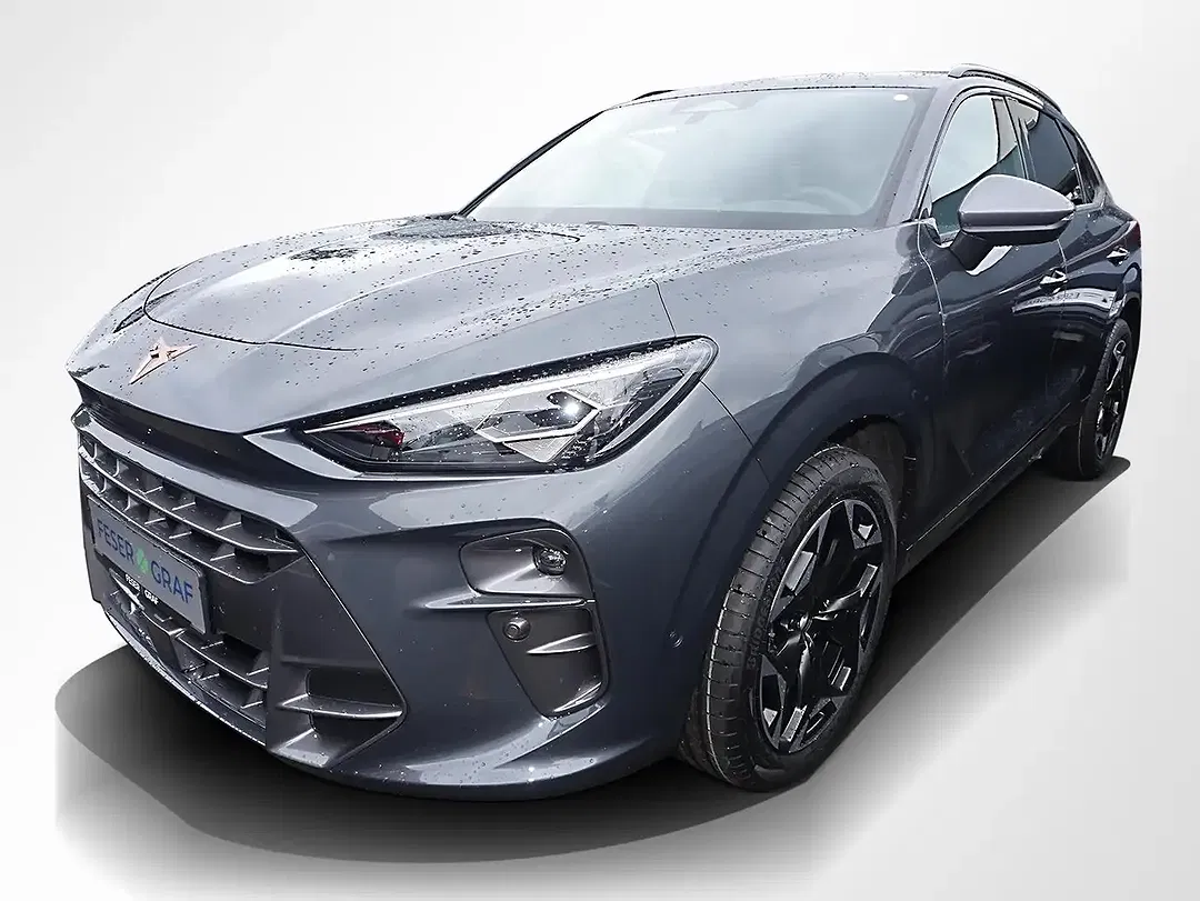 CUPRA Terramar 2.0 TSI DSG 4Drive VZ Matrix LED - Thumbnail 10