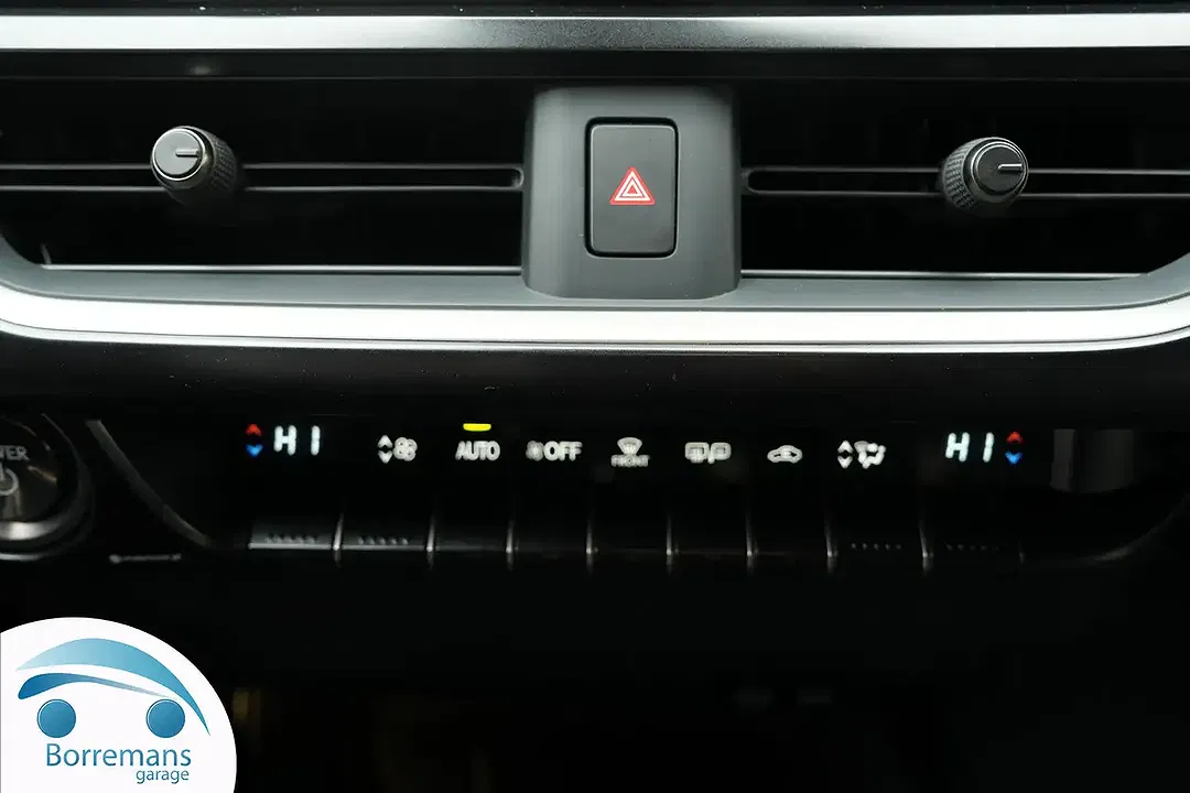 Lexus UX 250h F Business Line Plus - Thumbnail 11