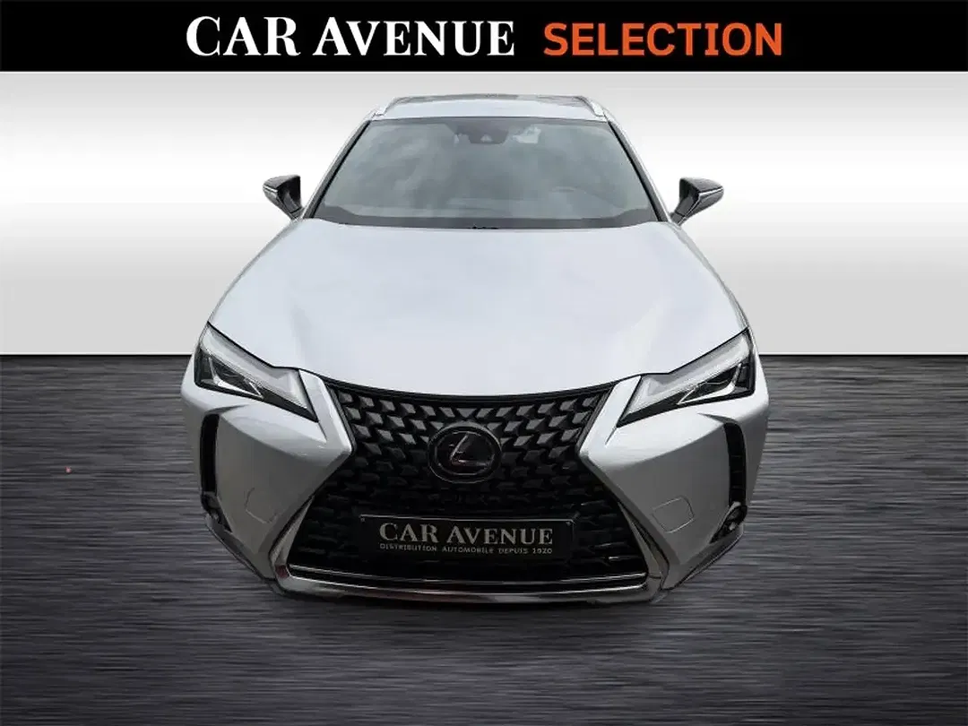 Lexus UX 250h 4x4 Executive - foto 2