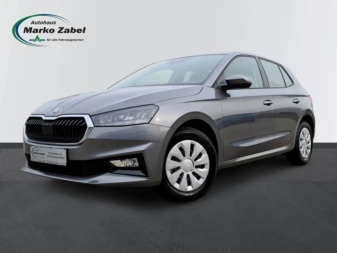 Skoda Fabia 1.0 TSI DSG Selection - Afbeelding 1