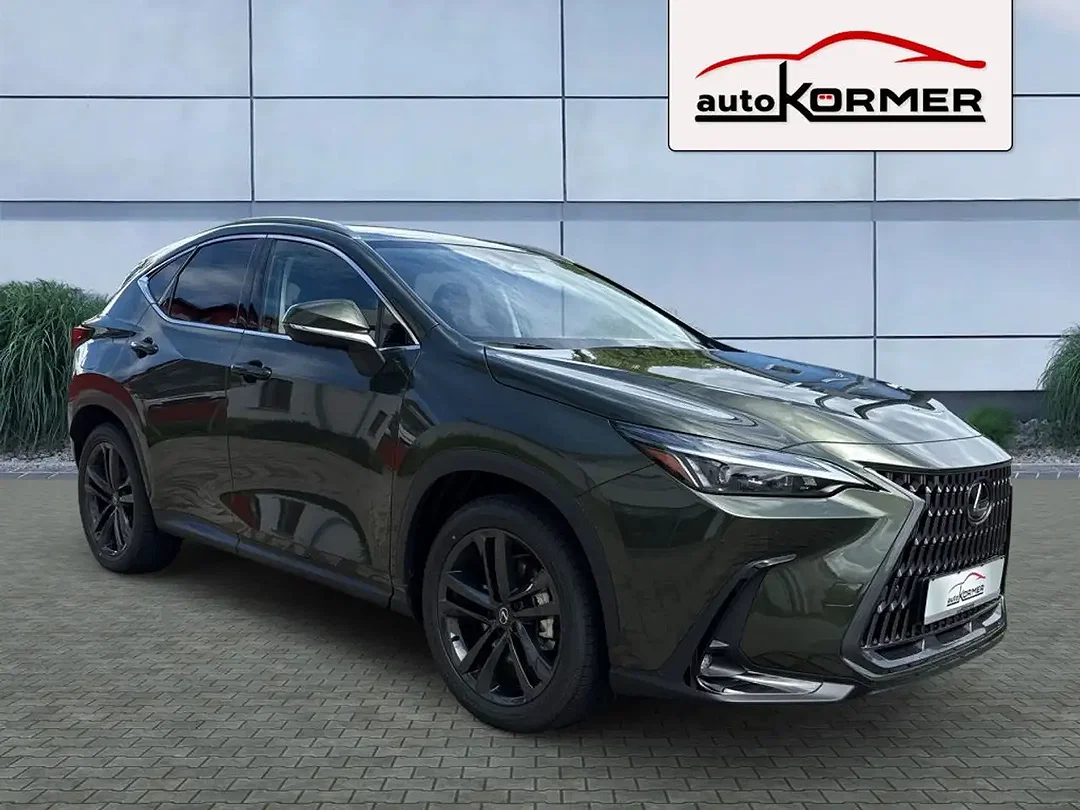 Lexus NX 450h+ E-FOUR Business - Afbeelding 1