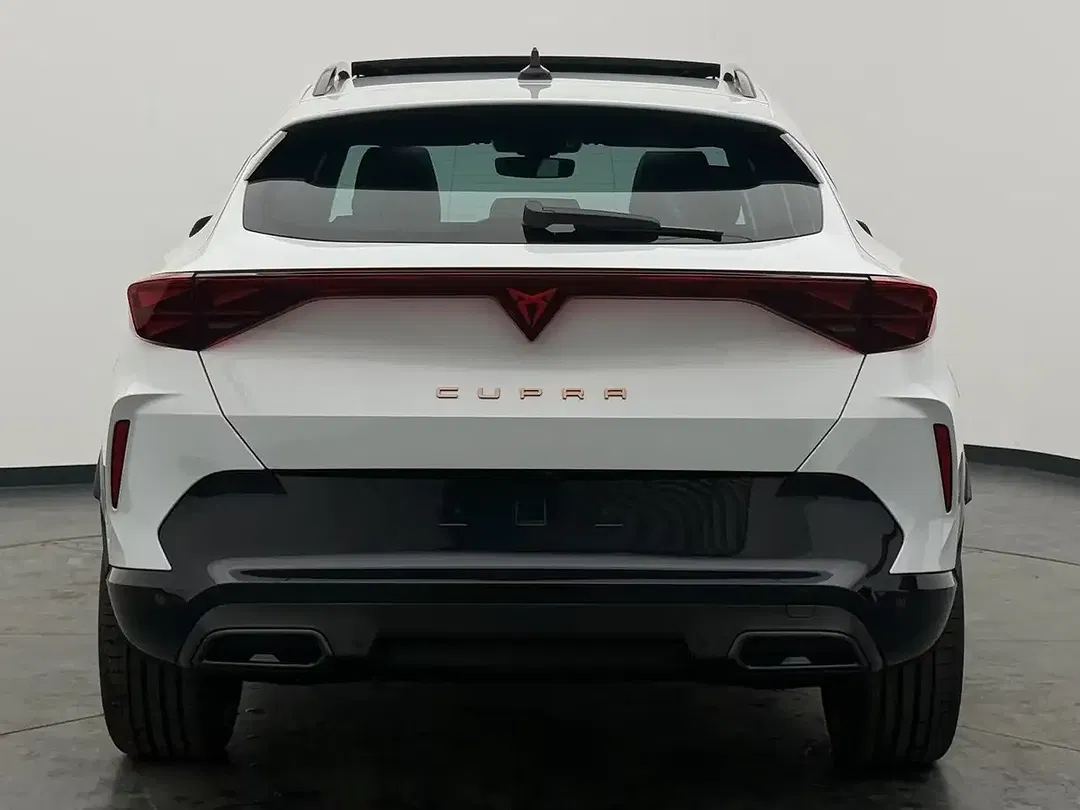 CUPRA Formentor 2.0 TSI DSG 4Drive - Thumbnail 10