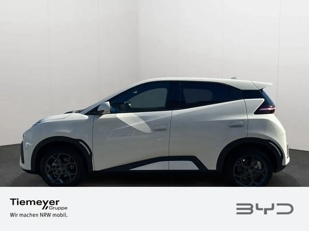BYD Dolphin Surf Comfort - Thumbnail 7