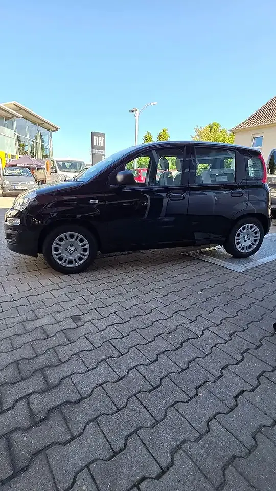 Fiat Panda 1.0 GSE Hybrid Icon - Thumbnail 4