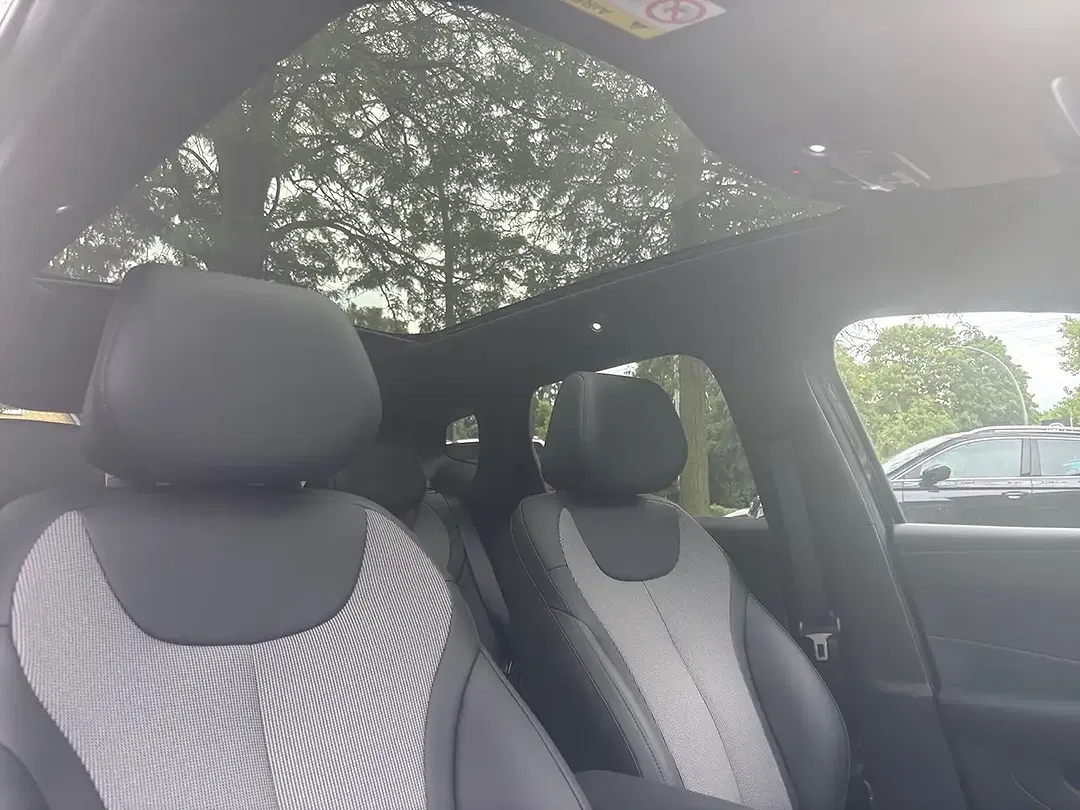 BYD Dolphin DM-i AUT - Thumbnail 12