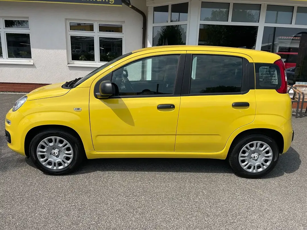 Fiat Panda 1.0 Icon - foto 2