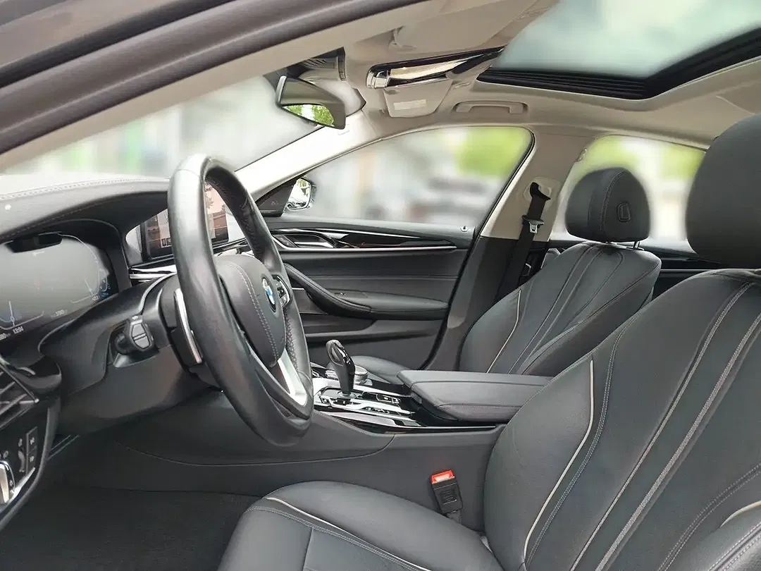 BMW 530 Luxury Line Pro - foto 15