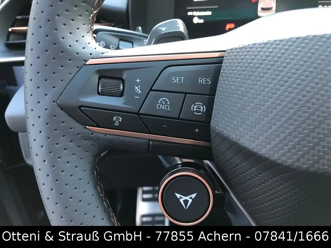 CUPRA Terramar 2.0 TSI 4Drive VZ Matrix LED - Thumbnail 10