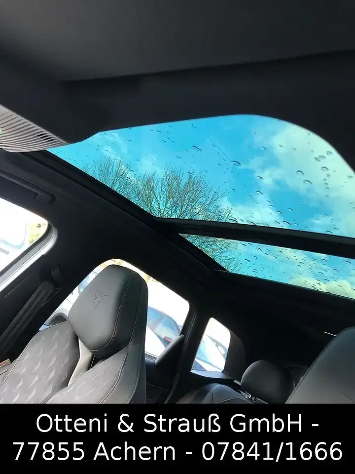 CUPRA Terramar 2.0 TSI 4Drive VZ Matrix LED - Thumbnail 12