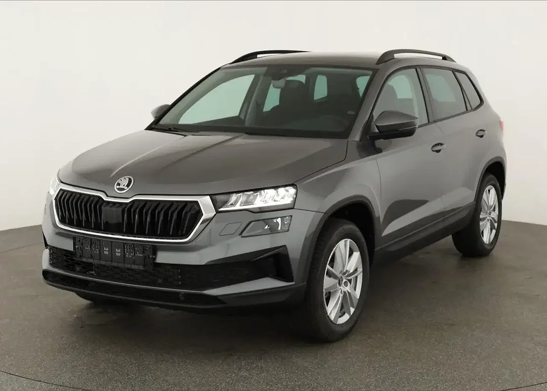 Skoda Karoq 2.0 TDI DSG 4x4 Selection - Afbeelding 1