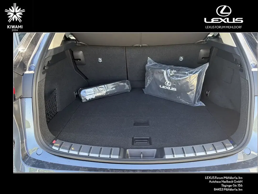 Lexus NX 450h+ Business - foto 15
