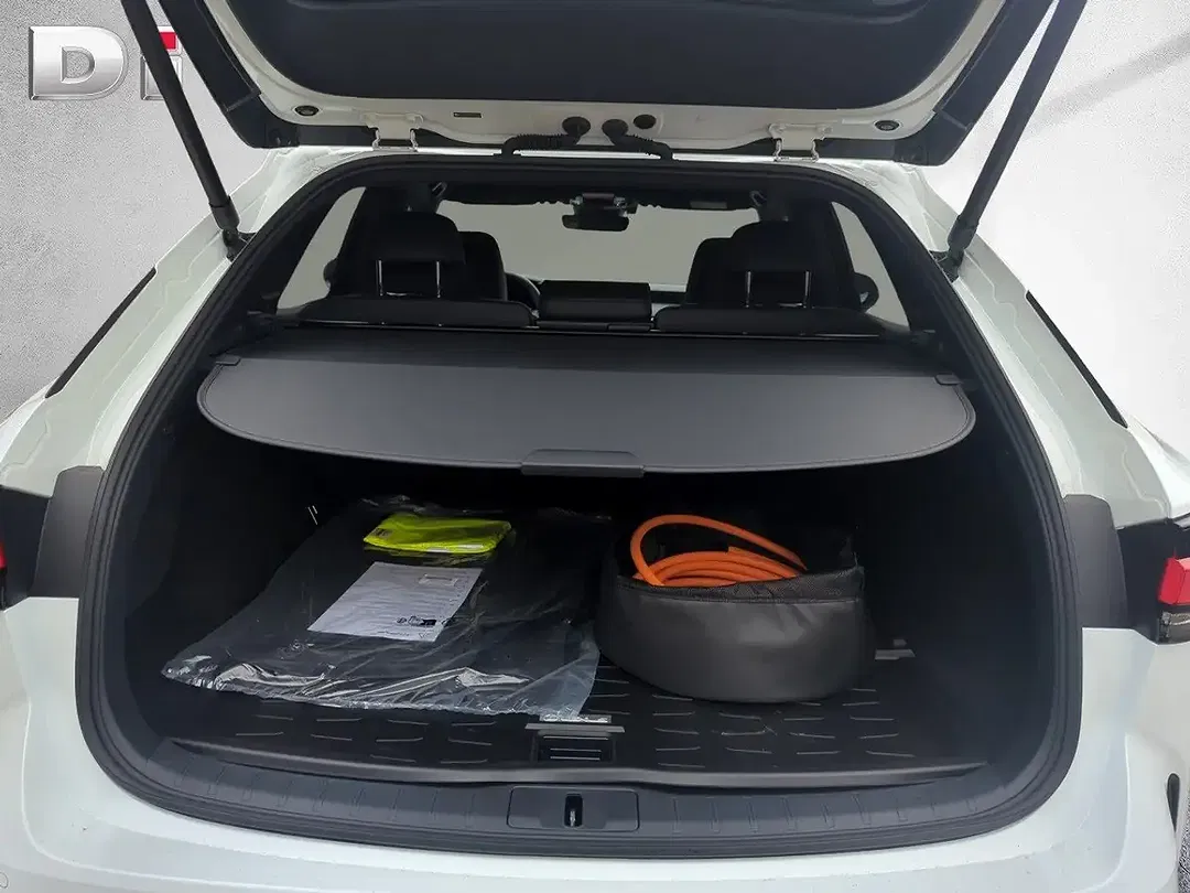 Lexus RX 450h F SPORT - Thumbnail 10