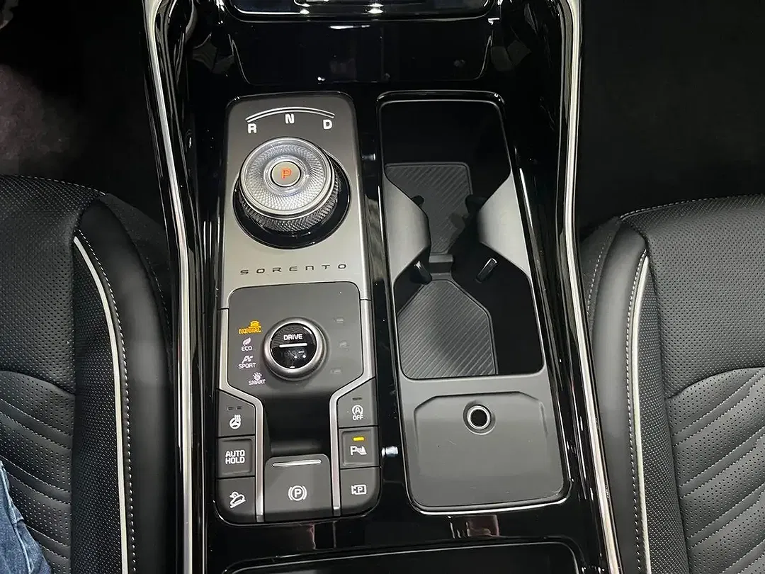 Kia Sorento 2.2 CRDi Platinum - Thumbnail 11