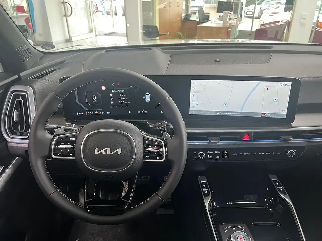 Kia Sorento 2.2 CRDi Platinum - Thumbnail 12