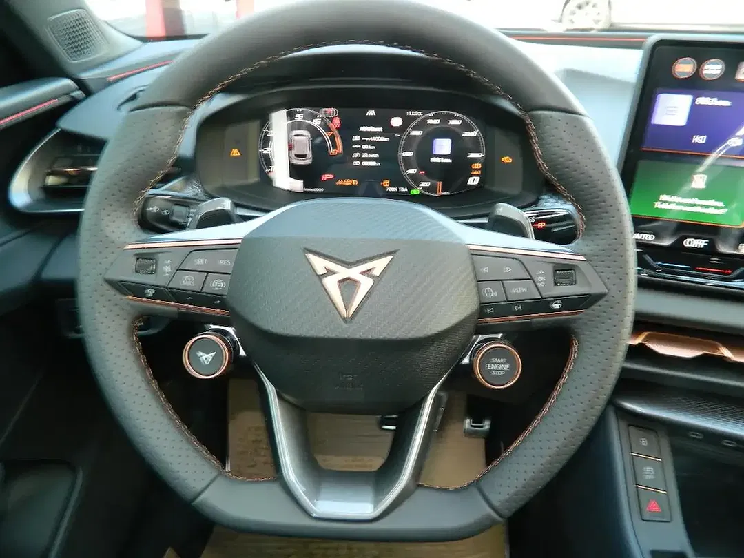 CUPRA Terramar 2.0 TSI DSG 4Drive Matrix LED - Thumbnail 15