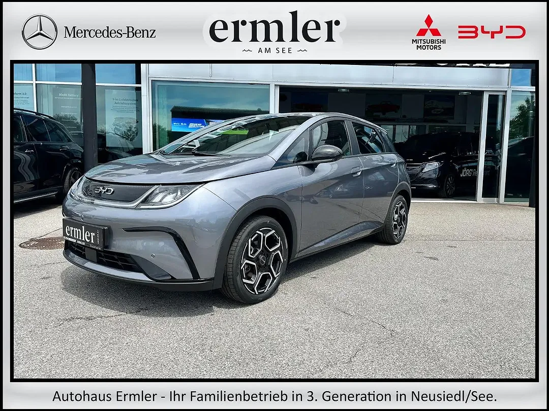BYD Dolphin Comfort - Afbeelding 1