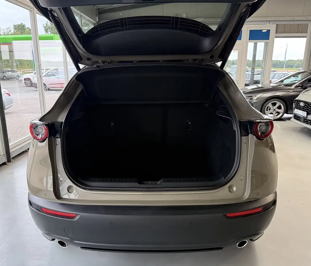 Mazda CX-30 Homura - foto 15
