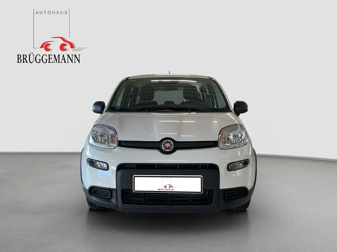 Fiat Panda 1.0 Hybrid GSE - foto 2