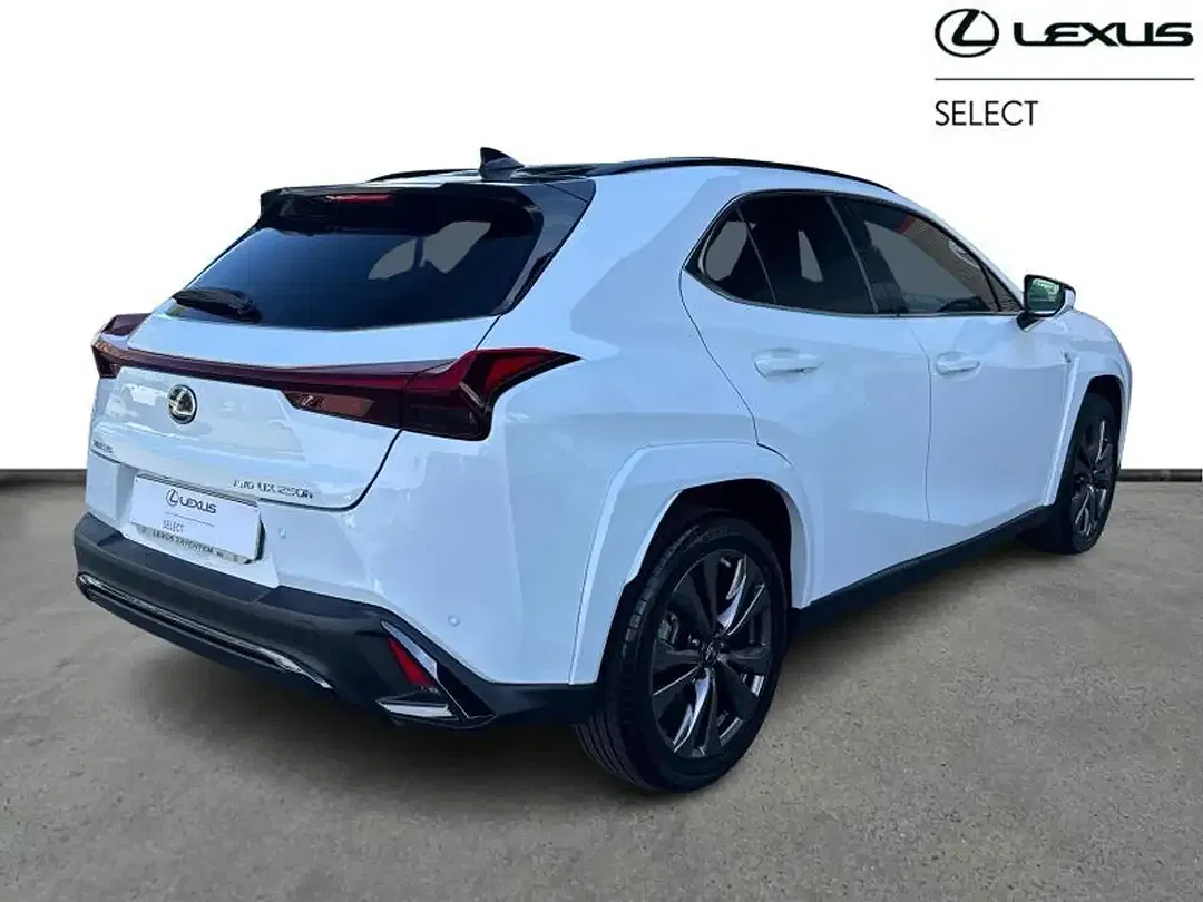 Lexus UX 250h Hybrid F SPORT - foto 15