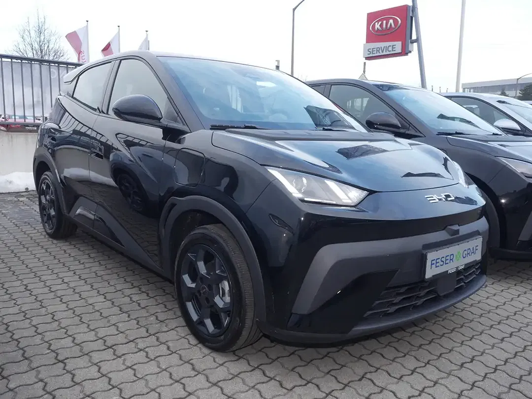 BYD Dolphin Surf Boost - foto 2