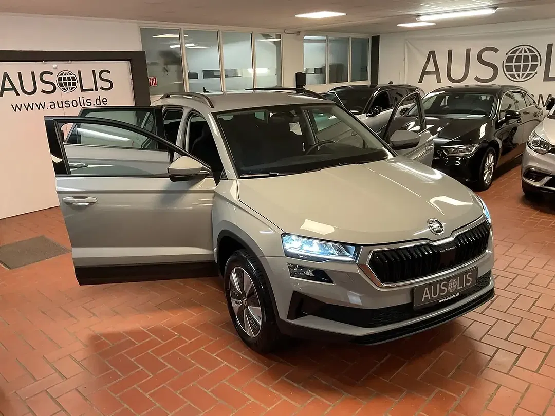 Skoda Karoq 2.0 TDI 4x4 Ambition - Thumbnail 11