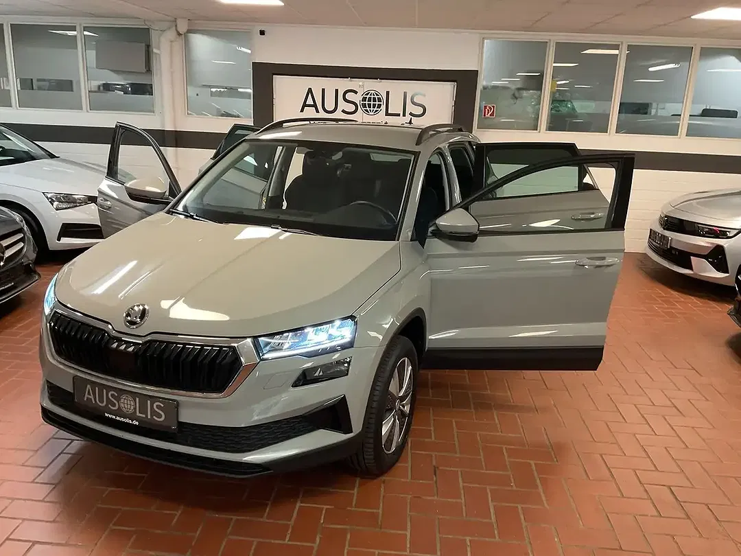 Skoda Karoq 2.0 TDI 4x4 Ambition - Thumbnail 13
