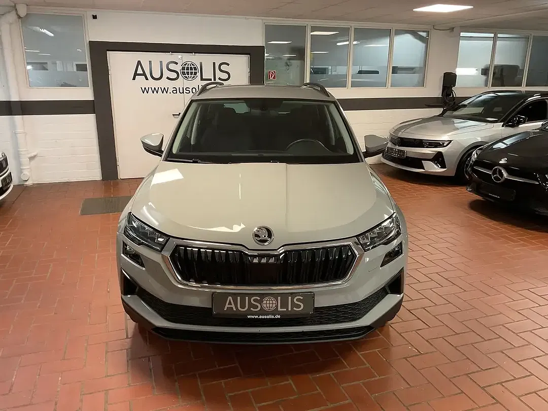 Skoda Karoq 2.0 TDI 4x4 Ambition - Thumbnail 2
