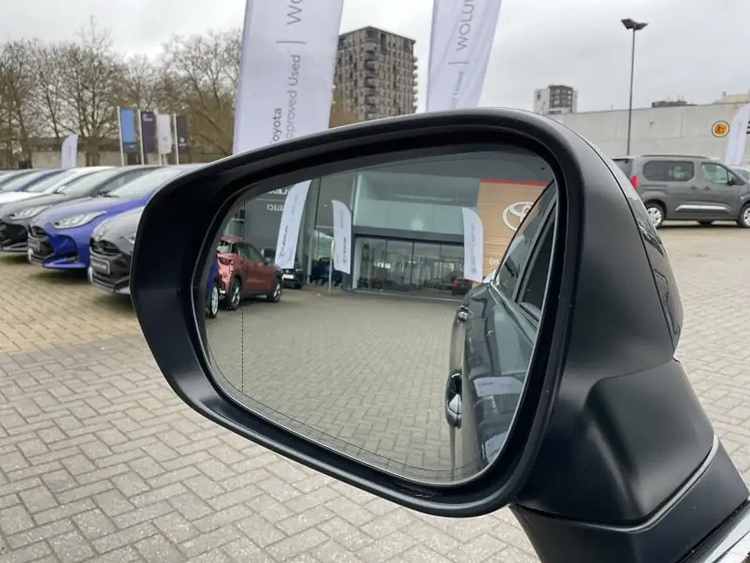 Lexus RX 450h PHEV 4x4 Executive Line - Thumbnail 8