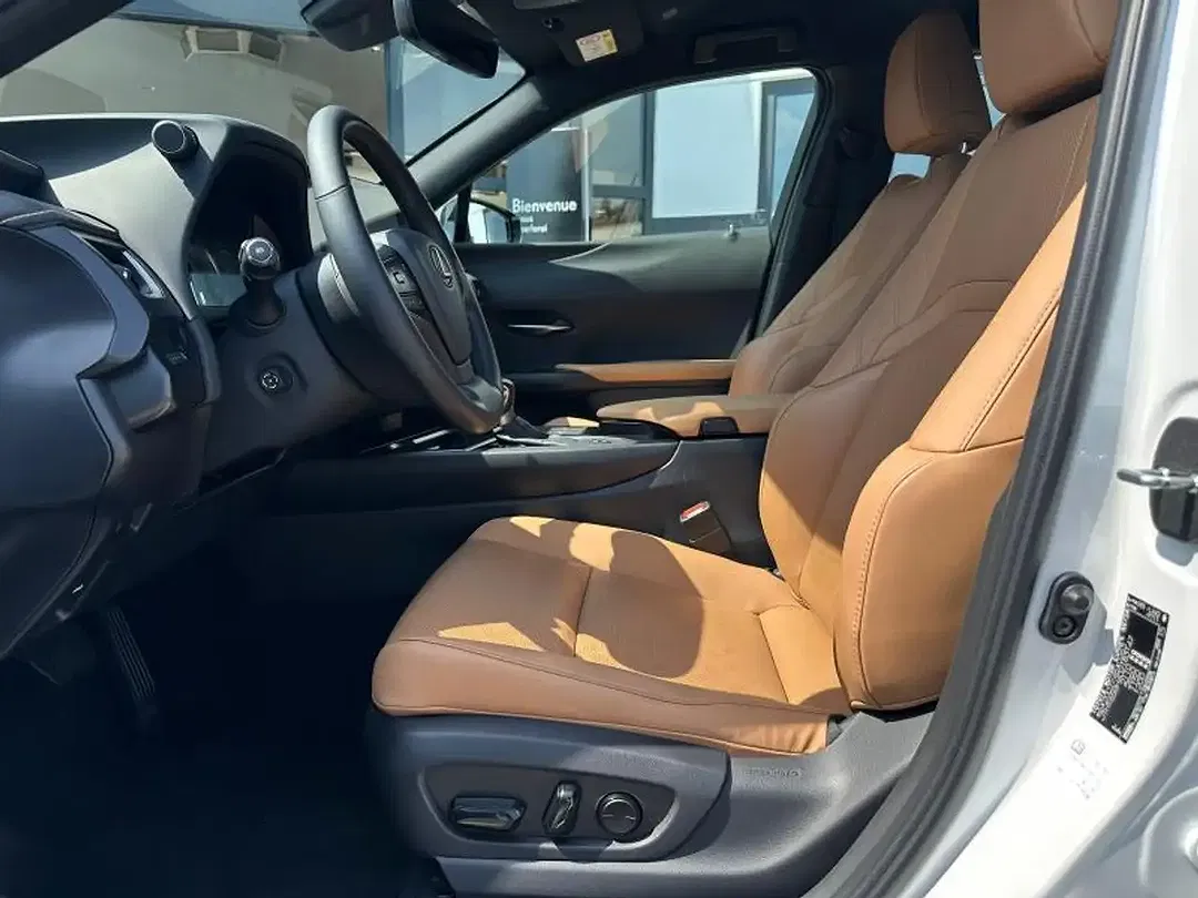 Lexus UX 250h Business Line - Thumbnail 14