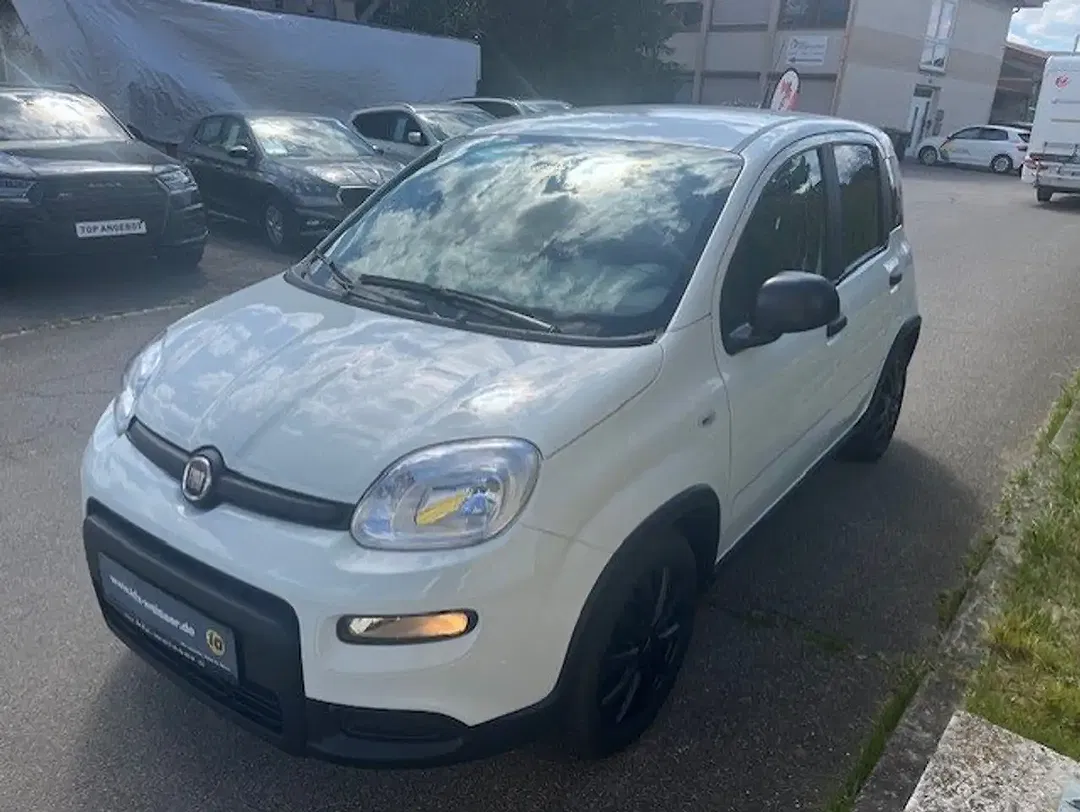 Fiat Panda Basis - Thumbnail 4