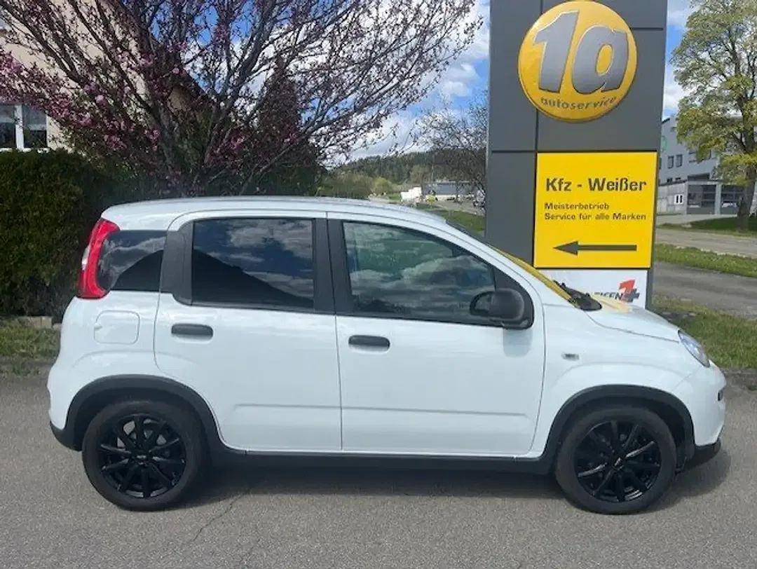 Fiat Panda Basis - Thumbnail 5