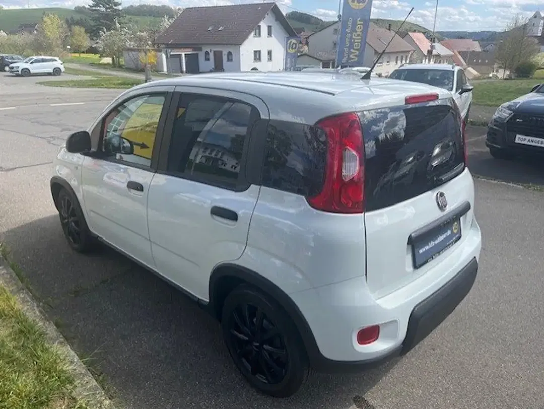 Fiat Panda Basis - Thumbnail 6