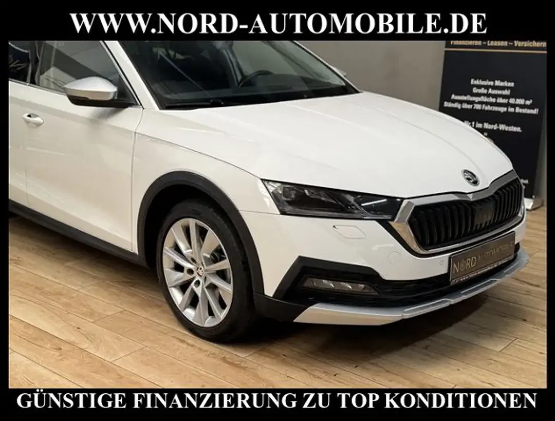 Skoda Octavia 2.0 TDI DSG Scout Combi - Thumbnail 10