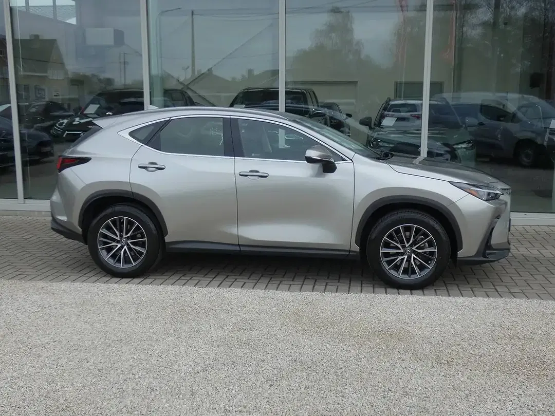 Lexus NX 350h Business Line - Thumbnail 8