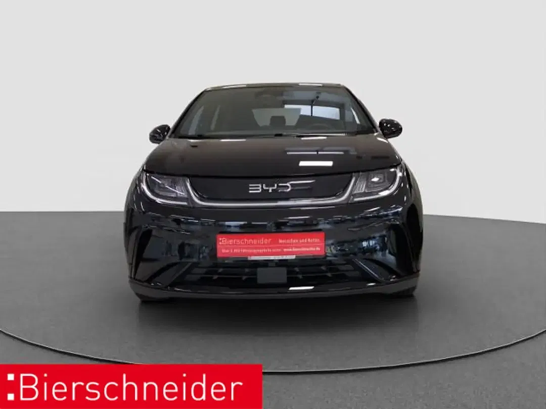 BYD Dolphin Design - foto 1