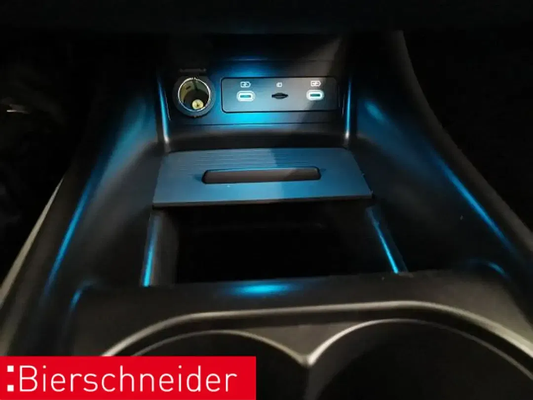 BYD Dolphin Design - Thumbnail 23