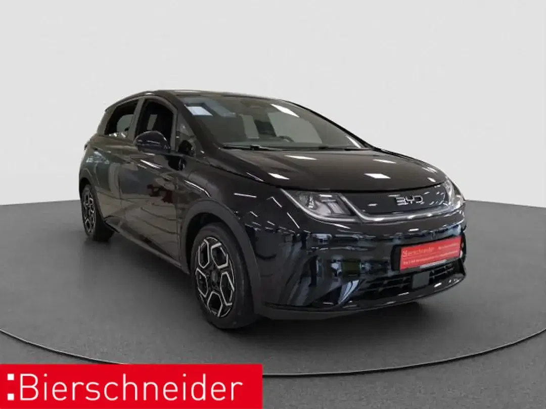 BYD Dolphin Design - foto 2