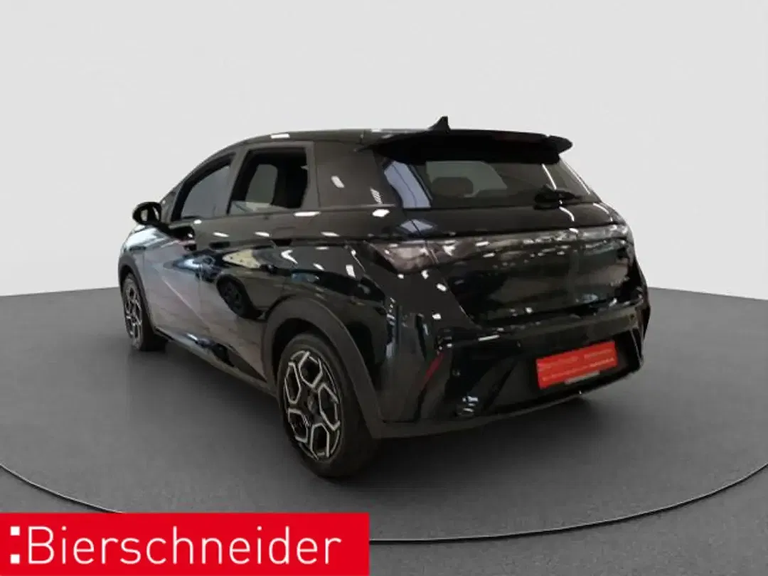 BYD Dolphin Design - Thumbnail 5