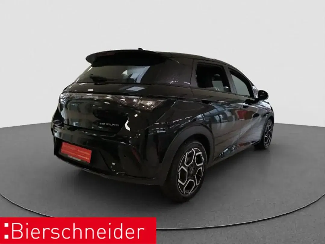 BYD Dolphin Design - Thumbnail 6