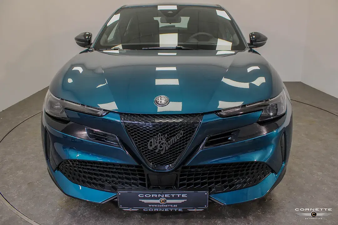 Alfa Romeo Junior Elettrica Speciale - Thumbnail 5