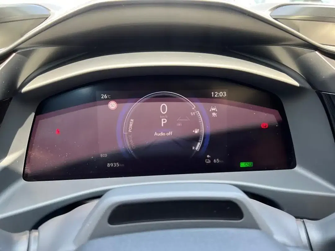 Lexus RZ 4x4 - Thumbnail 14