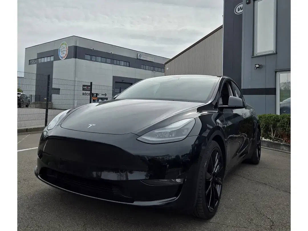 Tesla Model Y AWD Dual Motor Performance - foto 1