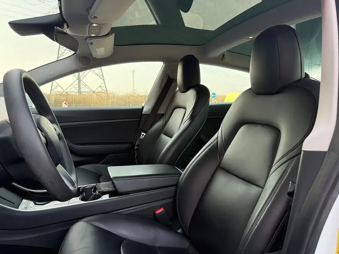 Tesla Model 3 RWD Standard Range Plus - Thumbnail 12